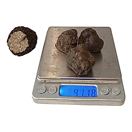 Taze Siyah Trüf Mantarı 40g