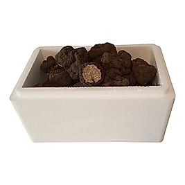 Taze Siyah Trüf Mantarı 40g (Tuber aestivum) – 2. Boy