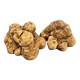 Beyaz Trüf- Tuber Magnatum