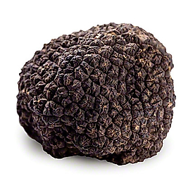 Trüf Mantarı Tohumu