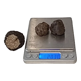 Taze Siyah Trüf Mantarı 20g